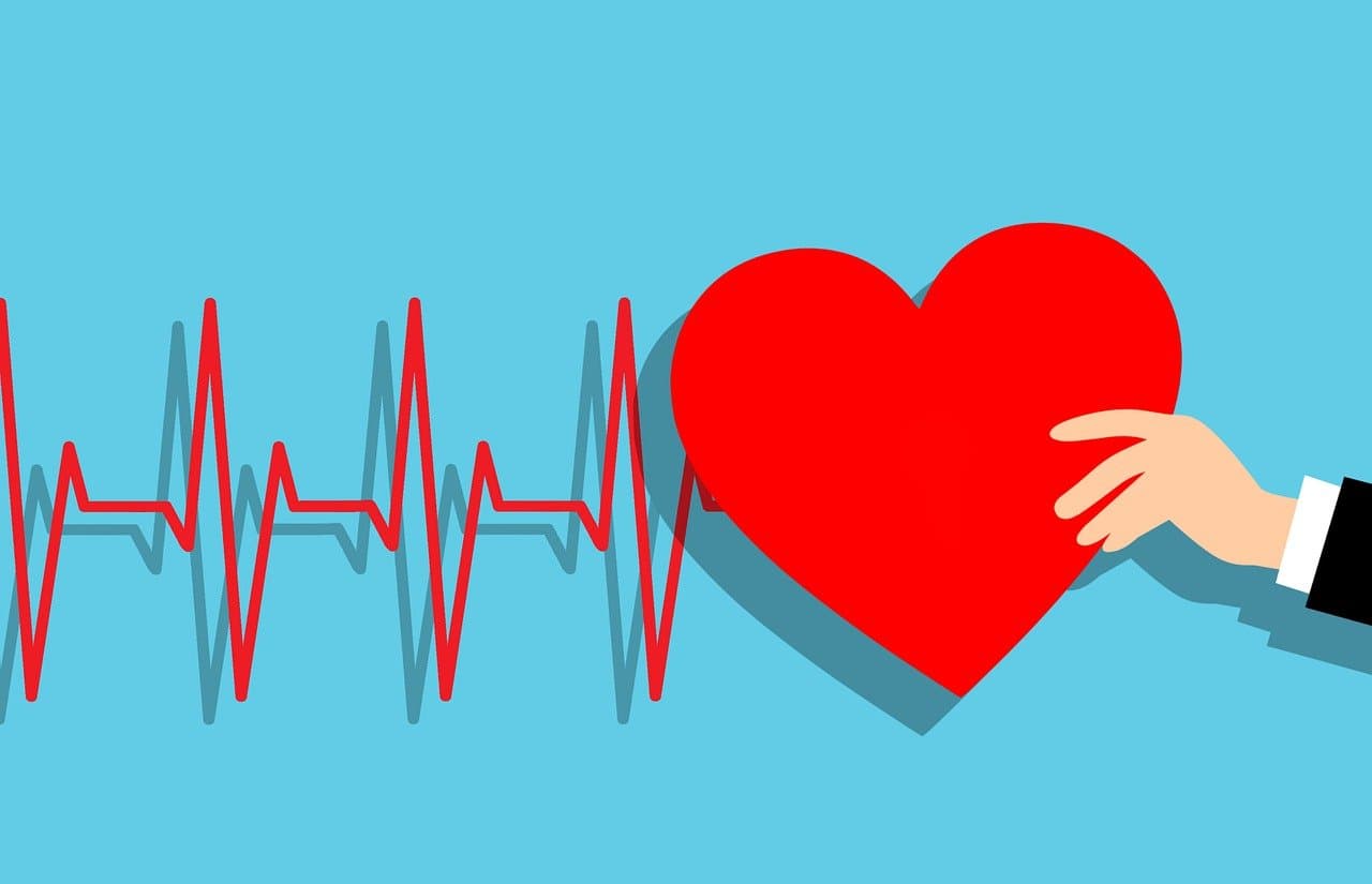 Cardiology